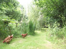 vacances en Mayenne